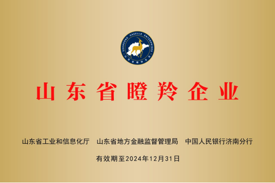 山東慧創信息科技有限公司
